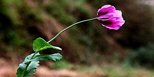 《地狱之刃3》：Ninja Theory计划大改近战和玩法设计